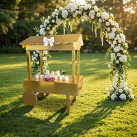 Carrito de Postres Decorativo de PVC y Acrílico para Bodas, Fiestas, Exhibiciones de Alimentos, Eventos Temáticos, Presentación de Comidas, Directo de Fábrica