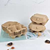Plateau à œufs en pulpe moulée compostable, écologique, 6 emplacements, résistant aux chocs, conception personnalisée, fournisseur OEM en gros