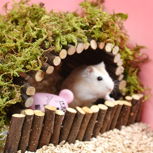 Puente de madera en forma de arco Crown Asia para hámsters, con ramas de manzano y túnel modular, accesorios para mascotas. - Product Image 1