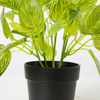 Plante artificielle Lvy de 22 cm avec pot, feuilles vertes, succulente, plante d'intérieur avec pot, décoration d'intérieur