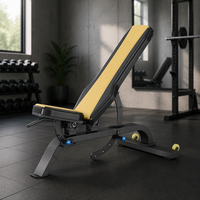 Chaise d'entraînement réglable Xinrui Commercial Fitness pour les cibles : épaules, dos, hanches et jambes.