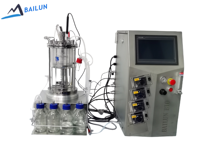 Biorreactor de Laboratorio Bailun con Agitación Magnética, Recipiente de Presión de Acero Inoxidable de 5L, Cultivo de Células y Bacterias, Calentamiento Inferior