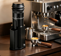 Moulin à café électrique portable en acier inoxydable pour camping, réglage de mouture ajustable, meule conique, capacité 25g, mini-machine
