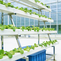 Système hydroponique automatique commercial en A, haute densité de plantation pour laitues, fraises, légumes-feuilles, usage domestique et agricole