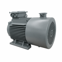 Générateur à aimant permanent NdFeB 500W-5MW, enroulement 100% cuivre, certifié CE, longue durée de vie, faible régime, pour turbine éolienne/hydroélectrique