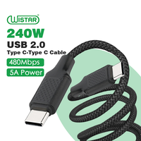 Kabel WISTAR USB C ke USB C 240W 5A Pd Pengisian Cepat Kustom Pabrik 1m Kualitas Tinggi Pengisi Daya Cepat Kabel Tipe C