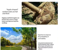 Machine à déraciner les arbres avec terre, machine à déplacer les arbres, machine de coupe d'arbres pour pépinière, machine à déraciner les arbres de type pétale