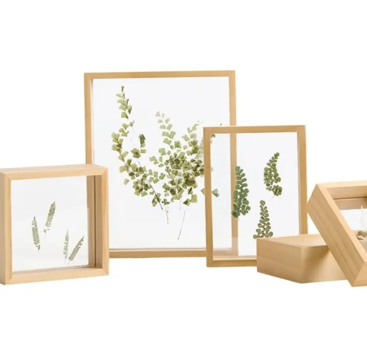 Marco de madera de pino macizo, marco flotante de hoja de arte botánico artesanal, pantalla
