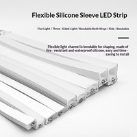 Tube en silicone personnalisé 12V 24V 220V pour bande LED IP68, extrusion unique, flexible, pliable, néon LED extérieur 10*10 20*10