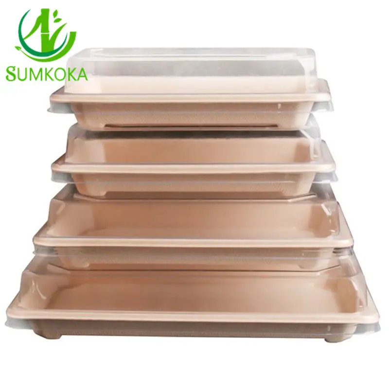 Assiettes en papier de canne à sucre compostables OEM/ODM Récipient de service alimentaire jetable robuste Plateaux à sushi bagasse