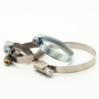 High Quality Factory Supply Germany Type SS304 Material Heavy Duty Hose Clamp for Mining/Healthcare/General Industry Use