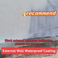 Peinture murale extérieure LOUISLONG en acrylique imperméable, résistante aux UV, membrane liquide d'étanchéité pour toiture, application au pinceau