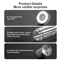 Bouteille d'eau en verre borosilicaté à double paroi de luxe de 350ml élégante avec logo personnalisé Infuseur à thé Flacon d'affaires ODM Modèle thermique