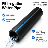 Tuyau en PEHD PE100 durable de grand diamètre pour l'alimentation en eau et les projets de pipelines, résistant à la corrosion et à haute pression