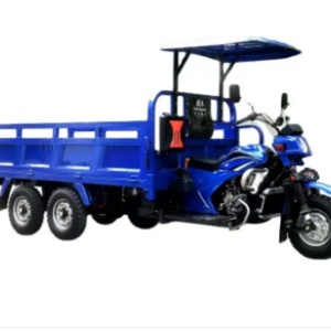 Triciclo para Adultos/Triciclo Motorizado con Motor de 200cc/250cc/300cc, Triciclo de Carga - Product Image 5