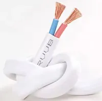 Fil de cuivre toronné Rvvb 2 * 1 mm, câble isolé en PVC, gaine isolante, fil plat souple à 2 conducteurs