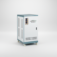 Regulador de Voltaje Trifásico AVR TNS de Alta Eficiencia de 100KVA, con Certificación CE e ISO, con Protección Contra Sobrecargas para Hogar y Fábrica, 60HZ