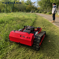Tondeuse à gazon télécommandée tout-terrain 200m avec une largeur de coupe de 550mm et un moteur à essence de 224cc pour les bords de sentiers et les herbes hautes