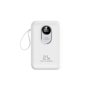 Power Bank OEM Certificato CCC da 20000mAh Ultra Sottile con Batteria Li-Polymer, 4 Cavi di Ricarica Integrati, Design con Cordino, Ricarica Rapida 22.5W - Product Image 6