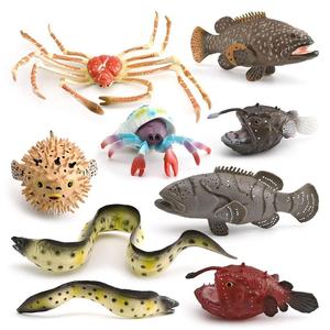 xinhen Modelos de simulación de animales marinos para niños: pez globo, pargo, cangrejo ermitaño, anguila morera y otros animales subacuáticos - Product Image 1