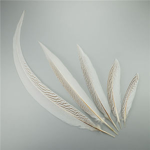 Plumas de Cola de Faisán Naturales Plateadas al por Mayor, de 15-80 cm, Impermeables, para Manualidades, Disfraces de <span class=keywords><strong>Carnaval</strong></span>, Graduación, Día de San Valentín - Product Image 4