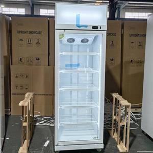 Refrigerador Comercial Personalizado al por Mayor de 300L, Refrigerador de <span class=keywords><strong>Cerveza</strong></span> con Puerta de Vidrio, Enfriador de Bebidas Energéticas - Product Image 6