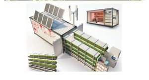 Thông minh nft trang trại dọc thủy canh vận chuyển nông nghiệp <span class=keywords><strong>container</strong></span> nft hệ thống thủy canh - Product Image 6