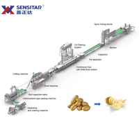 Uitstekende kwaliteit volautomatische productielijn voor aardappelchips met hoge productiviteit (1000 kg)/machine voor het maken van verse aardappelchips