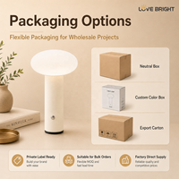 Lampe de table décorative sans fil rechargeable USB-C en PE coloré avec base en fer, 3 températures de couleur et gradation progressive pour chambre à coucher – Idée cadeau