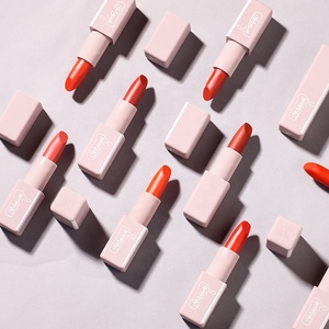 Rouge à lèvres personnalisé DSM 8 couleurs Imperméable Rose Rouge Beauté Lèvres Batom Rouge à lèvres mat Maquillage Facile à porter Gloss à lèvres cosmétique - Product Image 4