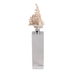 Scultura decorativa a forma di conchiglia su base di cristallo per decorazioni per la casa, figurina perfetta come complemento per bagno, ufficio o soggiorno - Product Image 3