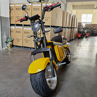 Scooter électrique Citycoco à grande roue, 2 places, avec certificat CE, directement de l'usine