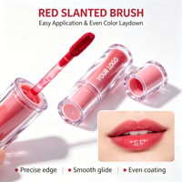 Vente en gros de gloss à lèvres minéral hydratant longue durée, vegan, à haute pigmentation, résistant à l'eau, avec logo personnalisé certifié MSDS