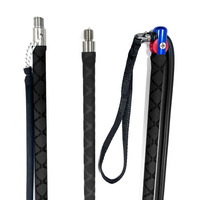 Perche à harpon en fibre de carbone de 290 cm (9 pieds) pour la pêche sous-marine, la plongée et la chasse au harpon hawaïen, avec embout coulissant