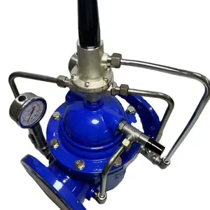 Source durable and efficient differential pressure bypass valves tailored for your industrial needs