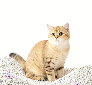 Litière pour chat en bentonite agglomérante de qualité supérieure à faible teneur en poussière, grise, sphérique, 4 kg/sac, fournitures pour animaux de compagnie en gros - Product Image 1