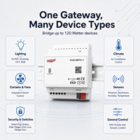 Bridge Smart Home Matter Over IP con Apple Google Home SmartThings, Gateway Matter per il controllo dell'illuminazione, da KNX a Matter Bridge