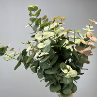 Faux Fleurs Fournitures Real Touch Feuille Branche Artificielle Eucalyptus Tige Verdure Soie Graines Artificielle Eucalyptus 85254
