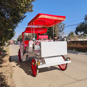 Voiturette électrique classique et sécurisée pour 4-6 passagers, idéale pour les excursions familiales et les visites de parcs - Product Image 5
