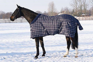 <span class=keywords><strong>Couverture</strong></span> <span class=keywords><strong>de</strong></span> <span class=keywords><strong>cheval</strong></span> d'intérieur Oxford 600D résistante à l'usure, avec <span class=keywords><strong>sangle</strong></span> <span class=keywords><strong>de</strong></span> ventre réglable, <span class=keywords><strong>couverture</strong></span> équestre durable, taille personnalisée - Product Image 3
