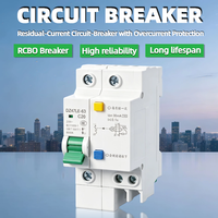 Disjoncteur différentiel (RCBO) DZ47LE-63 1P+N 2P 3P+N 4P 6A 10A 16A 20A 25A 32A 40A 50A 63A 30mA 100mA 300mA 6KA Courbe C