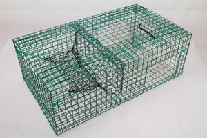 Trampa de langosta de red de hierro con malla de alambre Material de monofilamento de tamaño de malla de 36 ''y 48'' Marca MAXFISHING - Product Image 2