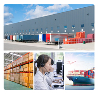 Transitaire maritime FCL Conteneur Expédition maritime Chine PORT AU PRINCE HAÏTI Logistique mondiale Conteneurs 40HQ/20GP/40GP 26-48