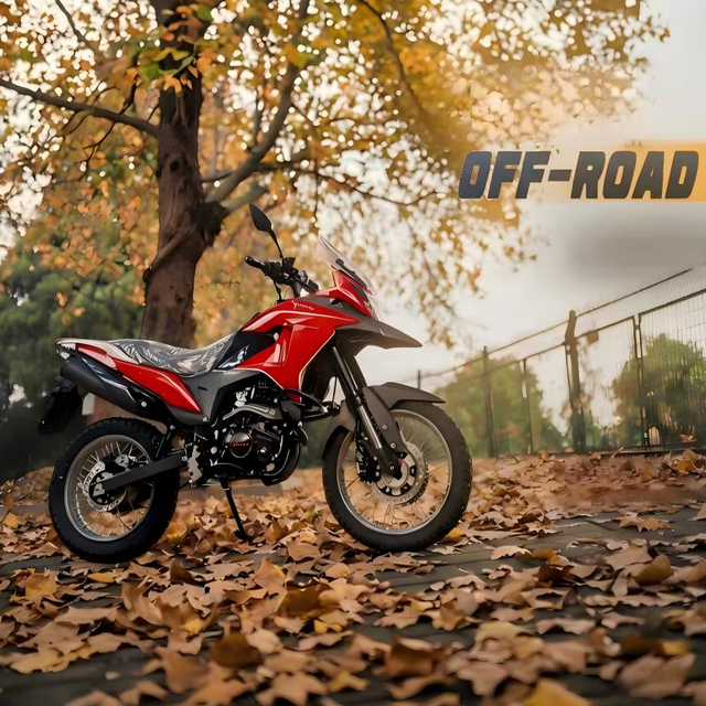 Hot-selling YUANLU 250cc Adult Racing Motorcycle Off-road Enduro Gasoline-powered Four-stroke 110km/h Max Speed 260mm Ground