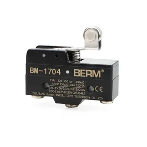Interruptor de límite pequeño, palanca de rodillo, botón de bisagra, microinterruptor, interruptor de viaje, Z-15GW22-B LXW5