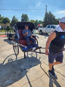 Ricksha eléctrico de alta calidad a la moda, rickshaw Jinrikisha Singporean tirado a mano, vehículo de transporte barato, rickshaw de 2 asientos - Product Image 6