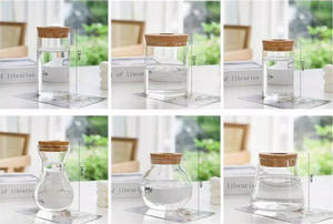 Glass <strong>Propagation</strong> Stations Terrariums Wooden Lid Bamboo Stand Eco-Friendly Handmade Garden Hydroponic Home Office Desk Plants - Product Image 2