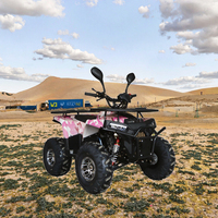 Moto tout-terrain automatique pour enfants 49cc Mini Dirt Bikes Brushless Motor Pint-Sized Motorcycle for Kids