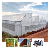 Serre Agricole Commerciale Monocouche en Acier Galvanisé à Chaud pour Cultures de Tomates et Fraises
