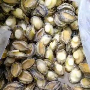 หอยเป๋าฮื้อแช่แข็งสดใหม่ในเปลือก มีหลายขนาด ผลิตภัณฑ์จากปลาเพื่อสุขภาพ - Product Image 1
